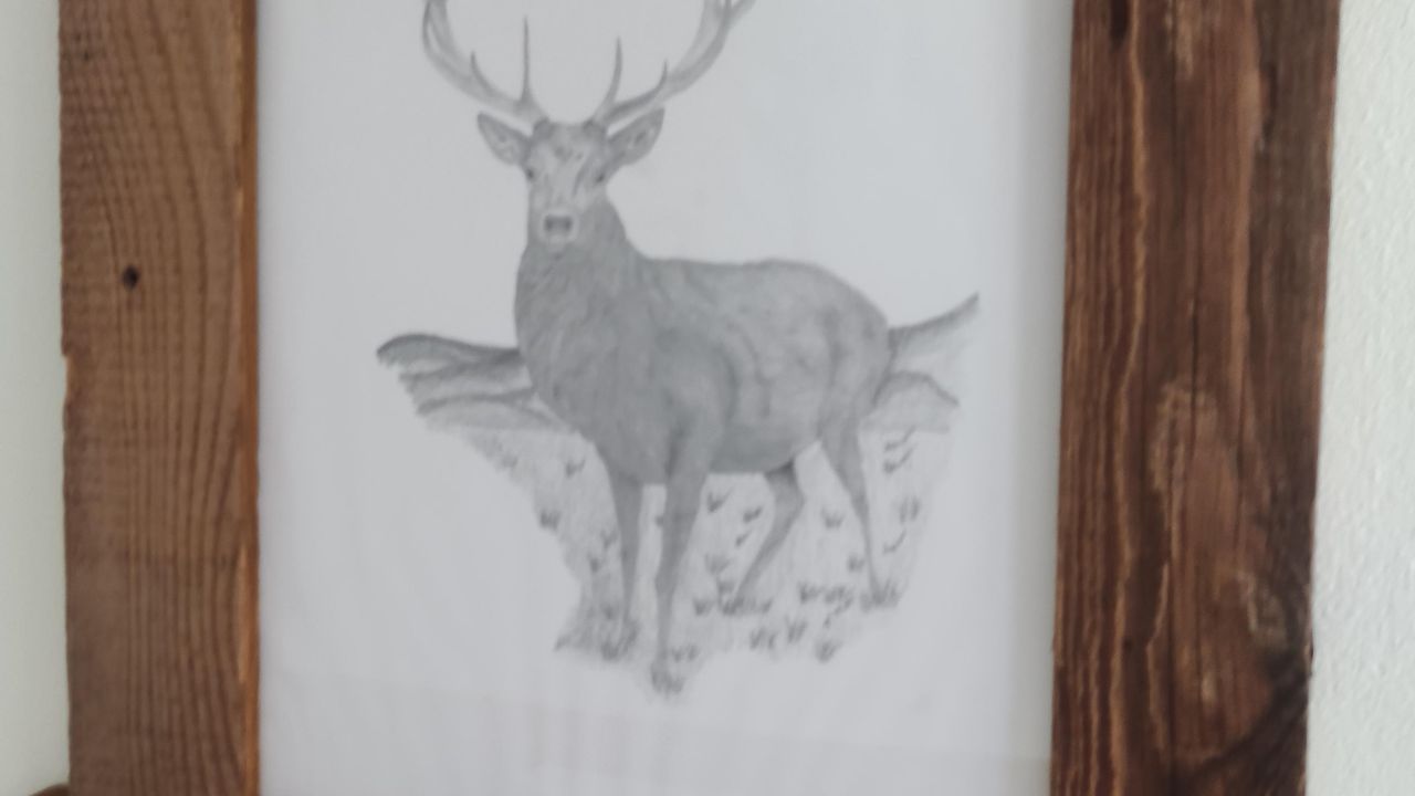 Hirsch Hirsch
